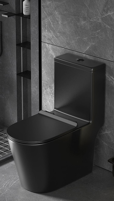EACO One Piece Toilet Bowl T933 Matt Black Color